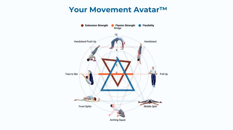 The Movement Avatar radar chart across strength and flexibility skills